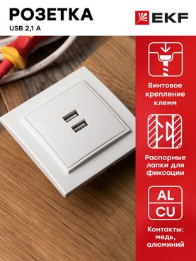 Розетка USB 2-местная Минск СП 21А белая EKF ERR-2USB-100 599₽