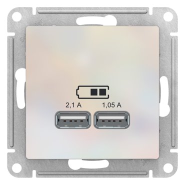 USB розетка Systeme Electric ATN0004333 3шт 15975₽