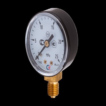 Манометр ТМ210Р 025 МПа M12x15 ГАЗ 495₽