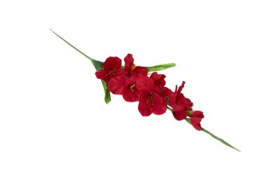 Искусственные цветы Гладиолус 240₽