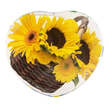 Полотенце прессованное Wellness Р12Р51 30х60 см 105₽