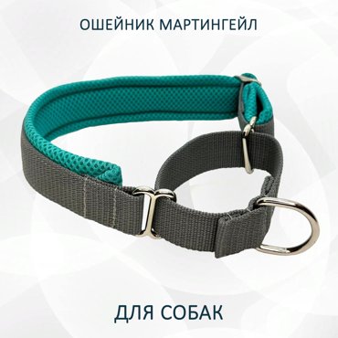 Ошейник для собак totemica полуудавка мятно-серый металл нейлон M 1085₽