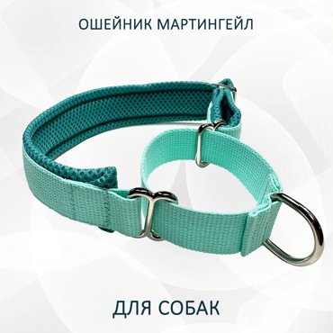 Ошейник для собак totemica полуудавка мятный металл нейлон размер XL 922₽