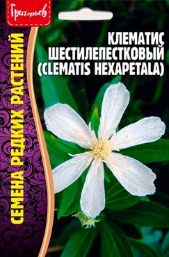 Семена Григорьев Клематис Шестилепестковый Clematis hexapetala 10 шт Семена редких растений 113₽