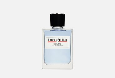 Incognito Homme 100 мл 573₽
