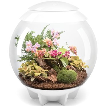 Флорариум для растений biOrb AIR 60 White, белый, 51 х 51 х 57 см