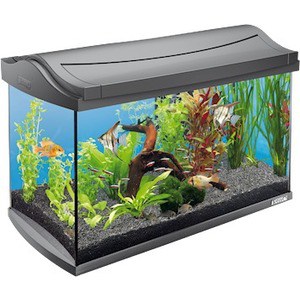 Аквариумный комплекс Tetra AquaArt Discover Line Tropical 60л