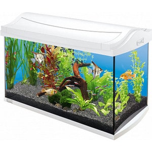 Аквариумный комплекс Tetra AquaArt Discover Line Tropical White Edition 60л (белый)