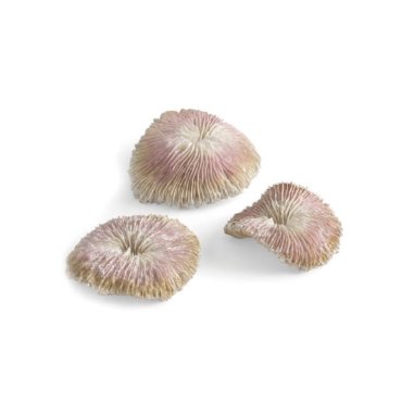 Набор пластиновых корал biOrb, полиэфирная смола, 18х8х4 см, 3 шт