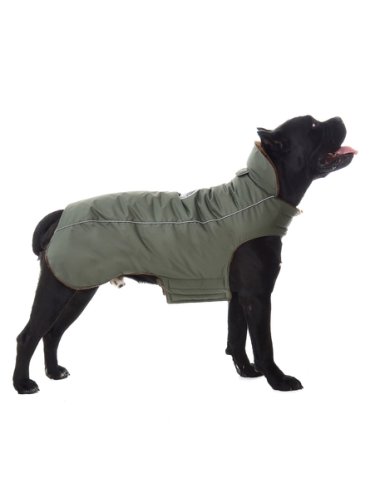 DogModa Попона