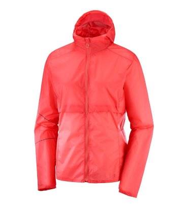Спортивная ветровка мужская Salomon Elevate Aero Fz Hoodie W синяя XS INT