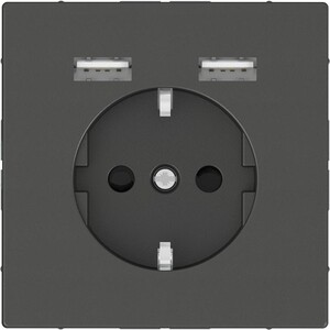 Розетка Schneider Electric компьютерная USBx2 Merten D-Life MTN2366-6034