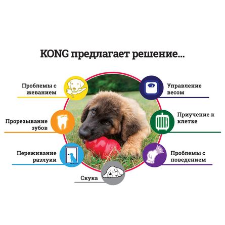 Kong Сlassic Игрушка для щенков, каучук, размер L, розовый/голубой
