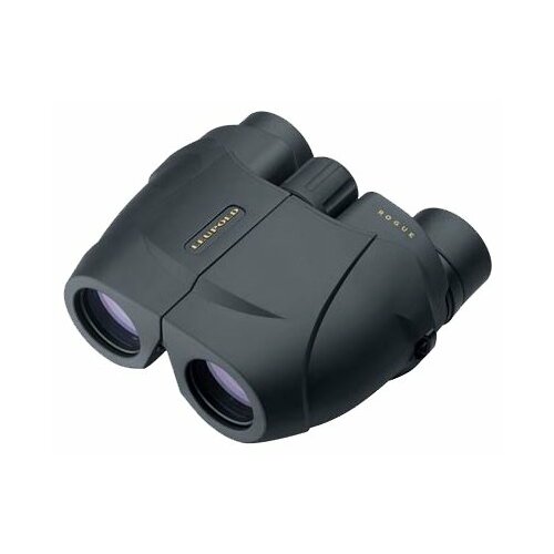 Бинокль Leupold BX-1 Rogue Compact 10x25 черный