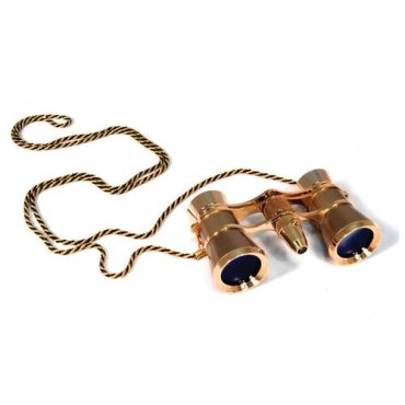 Бинокль Levenhuk Broadway 325F Gold