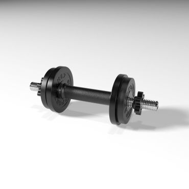 Гантель разборная BARFITS Sportcom D26 9кг