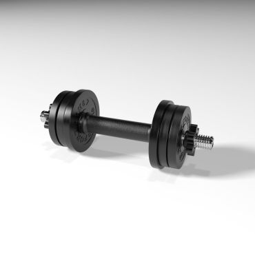 Гантель разборная BARFITS Sportcom D26 11,5кг