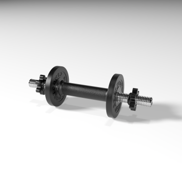 Гантель разборная BARFITS Sportcom D26 4кг