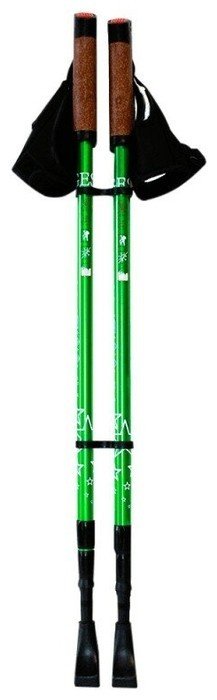 Палки для скандинавской ходьбы 2 шт. GESS Телескопические Classic Walker зеленый