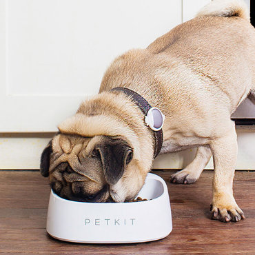 Миска весы Xiaomi Petkit Smart Weighing Bowl P510