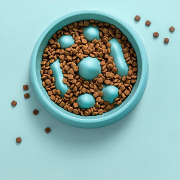 Миска Xiaomi Jordan & Judy Pet Slow Bowl PE017 Голубая