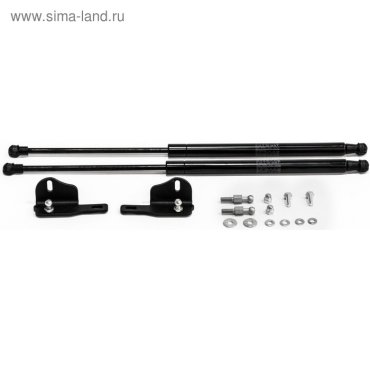 Упоры капота Rival для Lada XRAY хэтчбек 2015-н.в./XRAY Cross хэтчбек 2018-н.в., 2 шт., A.ST.6008.1
