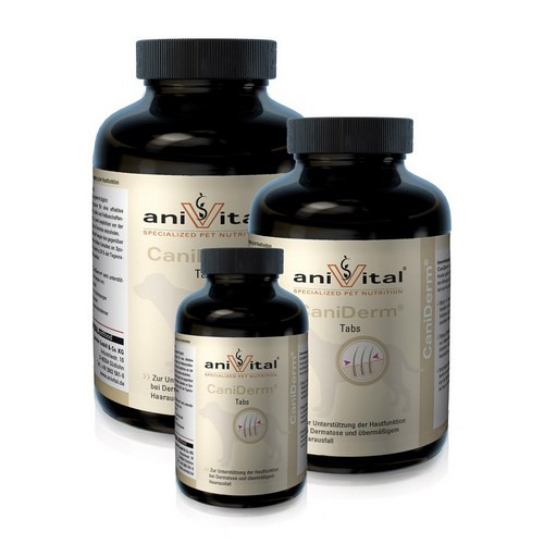Витаминно-минеральная добавка для собак Anivital CaniDerm для улучшения кожи и шерсти таблетки 140 г