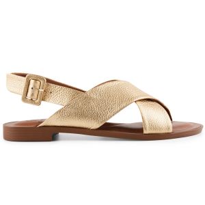 EN2711-01-gold-22L