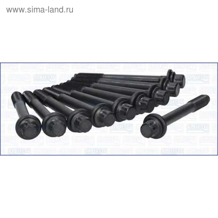 Болт ГБЦ комплект AJUSA 81024100