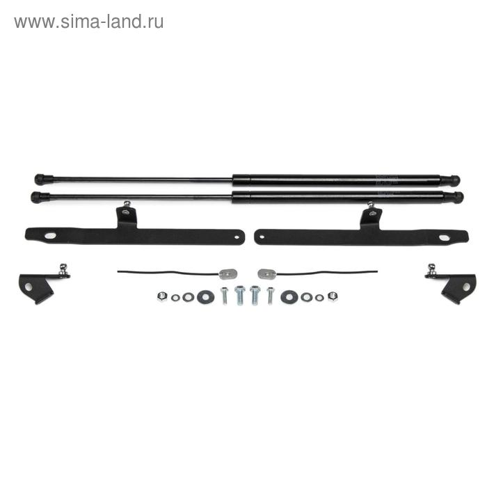 Газовые упоры капота АвтоУпор для Toyota RAV 4 XA50 2019-н.в., 2 шт., UTORAV031
