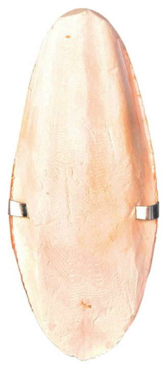 Панцирь каракатицы для заточки клюва для птиц TRIXIE Cuttle Fish Bones, с держателем, 16см