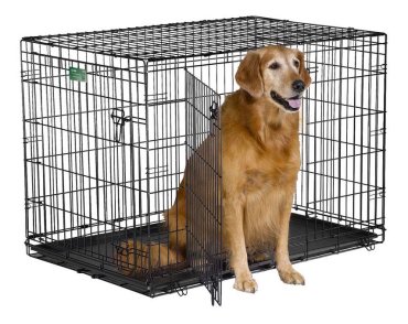 Клетка для собак MidWest iCrate 2 двери 1542DD 106х71х76hсм, черная