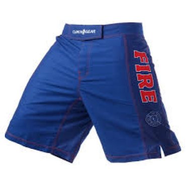 Шорты Clinch Gear Pro Series Short- Fire Clinch Gear