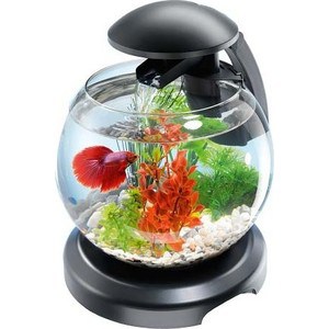Аквариумный комплекс Tetra Cascade Globe Filtered Glass Bowl 6,8л (черный)