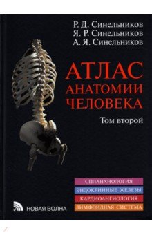 Атлас анатомии человека. В 3-х томах. Том 2