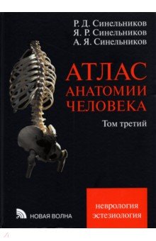 Атлас анатомии человека. В 3-х томах. Том 3